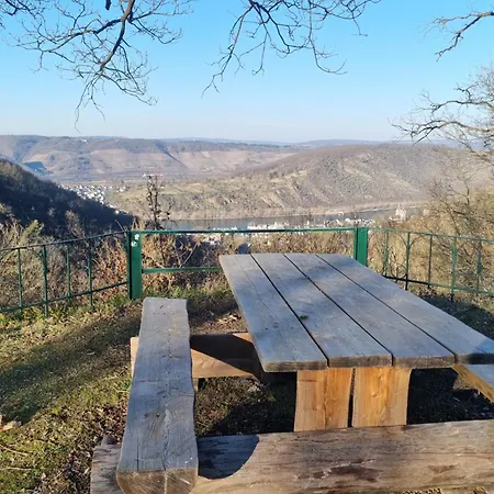 Apartment Rhein Cornea3 *